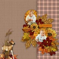 Scrapbook Designer Collection