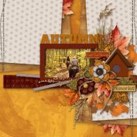 Scrapbook Designer Collection