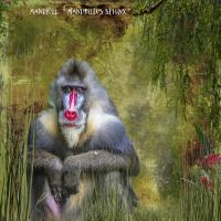 Mandrill