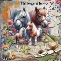 Most Recent Upload - Member's Best -The Beauty Of Horses