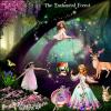 Enchanted Forest-2024