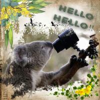 Hello!!!