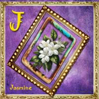 JASMINE