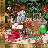 Merry Kitty Christmas