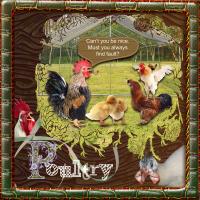 Most Recent Upload - Poultry