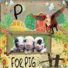 P for Pig