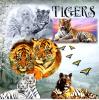 Alphabet Soup-T for Tigers