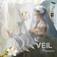 Veil