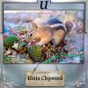 Alphabet Soup-U for Unita-Chipmunk