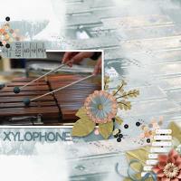 X is for xylophone